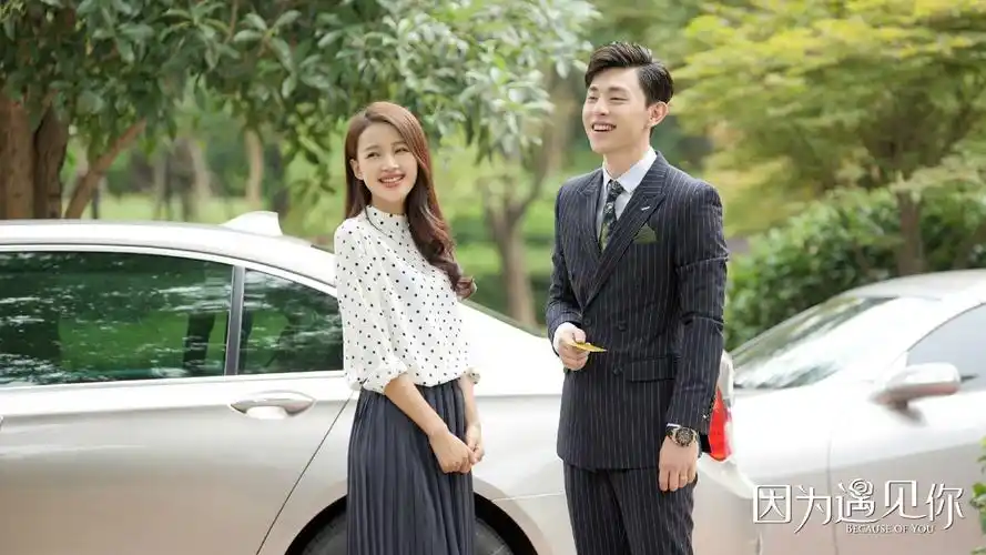 因为遇见你电视剧