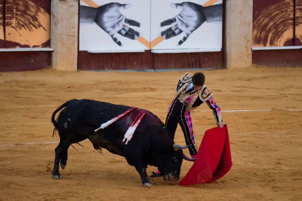 西班牙斗牛表演(12)