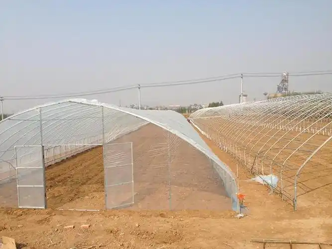 山东寿光温室大棚询138-6368-1802|专业建设单体蔬菜大棚