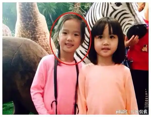 张庭|钟丽缇|小沈阳|王诗龄_网易订阅