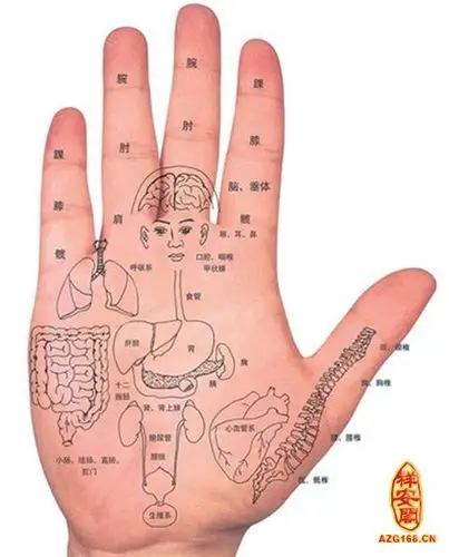 手纹图解大全人的遭运万万千千,手相千变万化,手纹的变化来探讨过去
