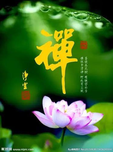 净空法师墨宝 禅字书法图片