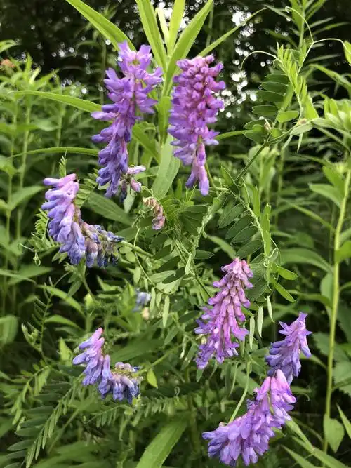 3024_4032竖版 竖屏