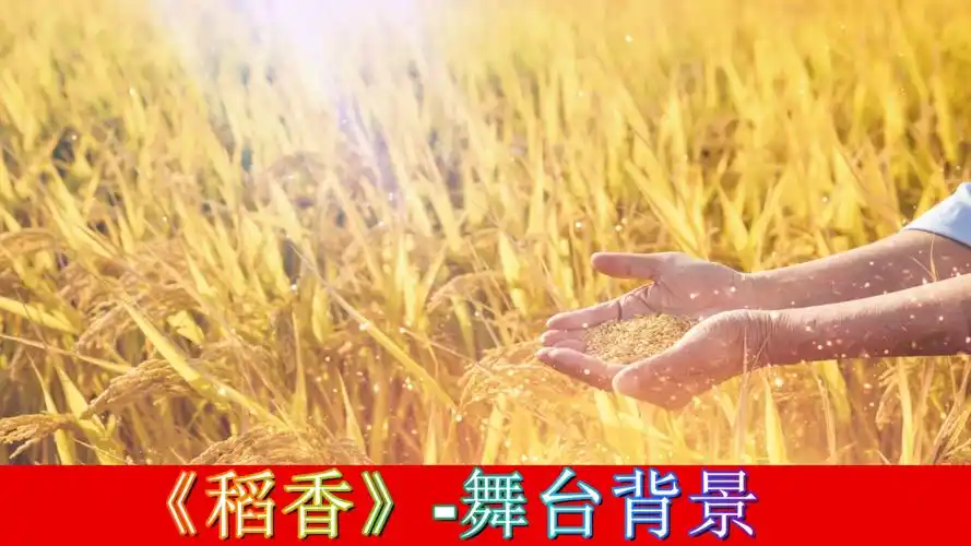 《稻香》配乐伴奏动态演出舞蹈比赛晚会舞台大屏幕led背景视频素材