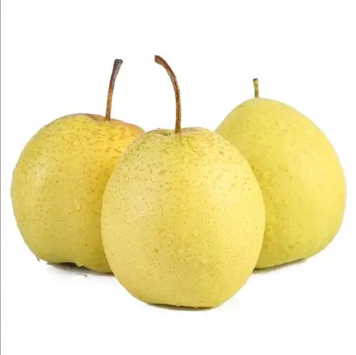 包邮整箱10斤特级雪花梨河北特产赵县正宗雪梨子新鲜水果礼盒当季