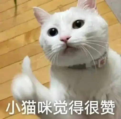 精选表情包小猫咪觉得很赞拿图点赞吱声