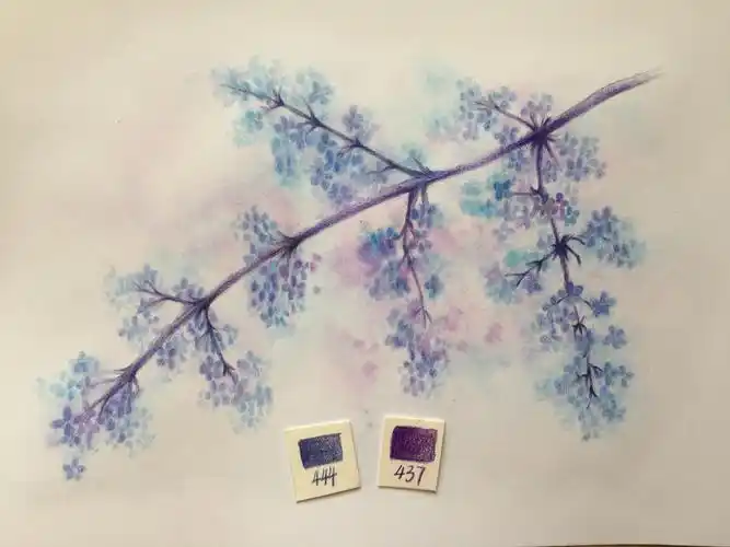 彩铅教程简单几步画出蓝紫色唯美花枝
