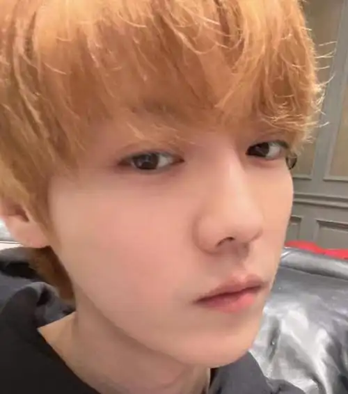 鹿晗跟不同发色的适配度