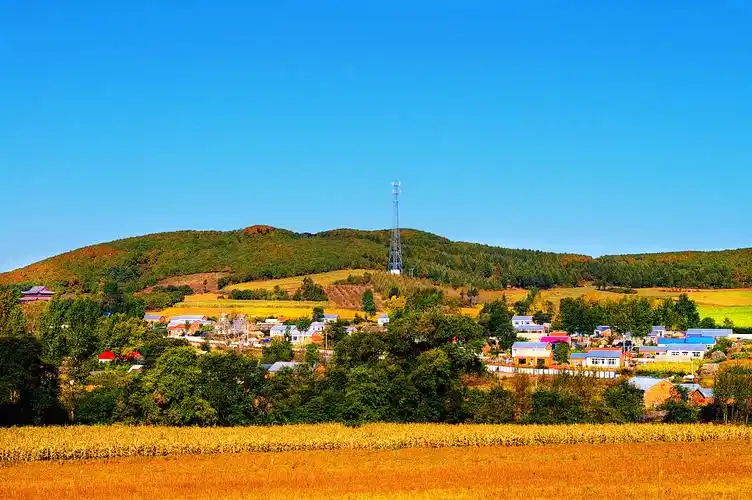 密山有位女诗人安静了? 宋玉宝文 / 图整理