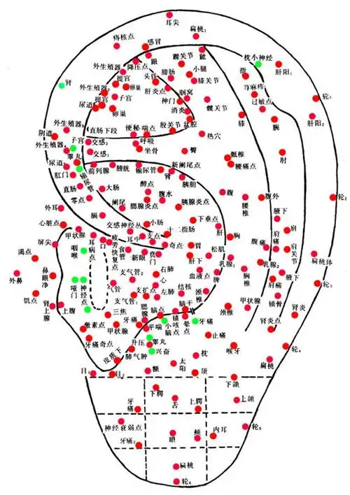 为什么我的牙齿稍微 上下张合 耳朵里就有声音?_百度知道