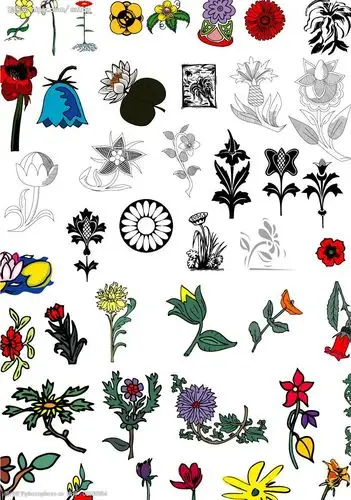 关键词:花儿朵朵cd9 矢量 鲜花 cd 生物世界 花草 矢量图库花cd9格式