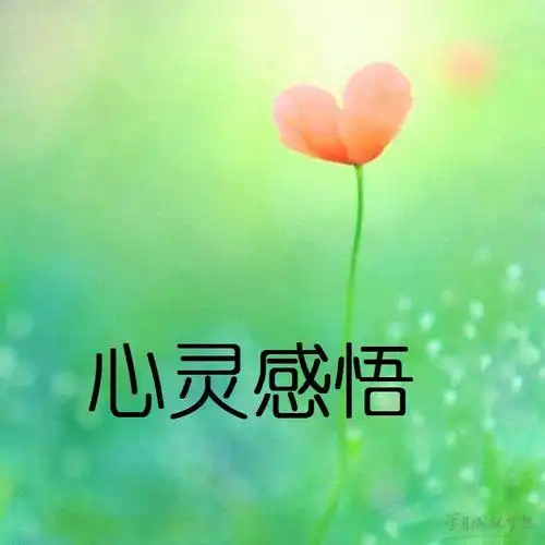 关于心灵感悟的句子心灵感悟经典语录