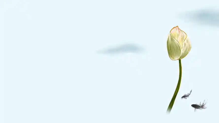 晚会无字ppt背景图