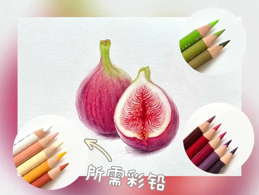 彩铅水果⑧无花果.跟画版来咯! #跟着抖音学画画#绘画过程分 - 抖音