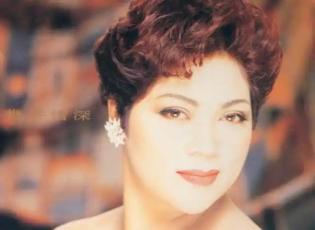 并不了解,但是在二十世纪八十年代,她确实是一位非常有影响力的歌手