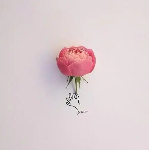 文艺暖心的治愈系说说,精致唯美,温暖整个春天!