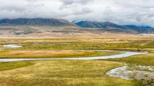 那曲高寒草原