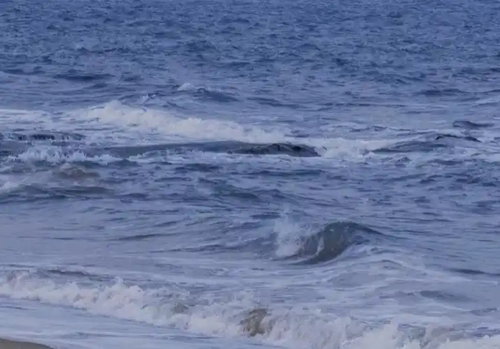 大海背景图> - 堆糖,美图壁纸兴趣社区