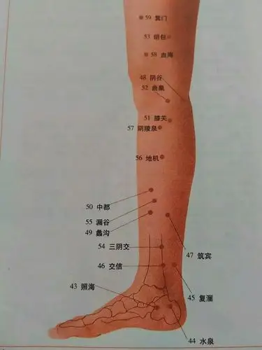 写美篇 全身穴位图 穴位按摩的原理 经络,掌管五脏六腑的功能,调整