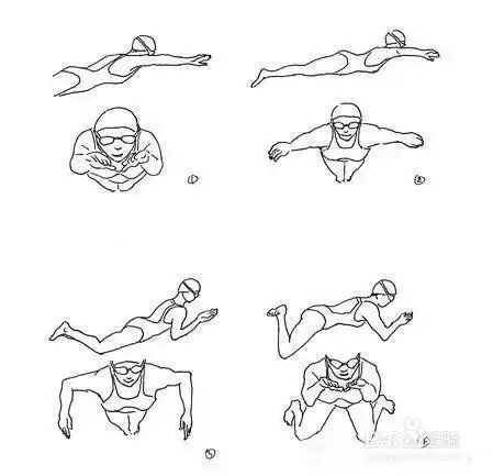 百度卡通蛙泳简笔画