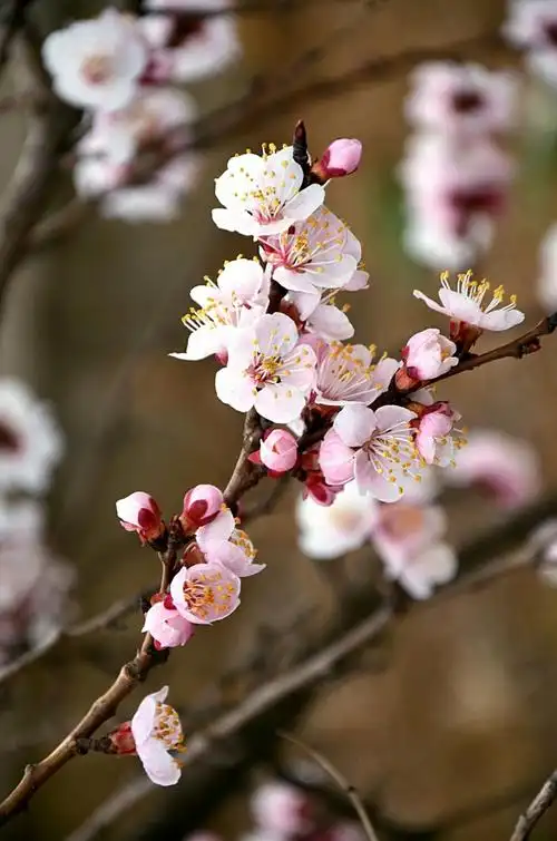 遇见最美好的自己