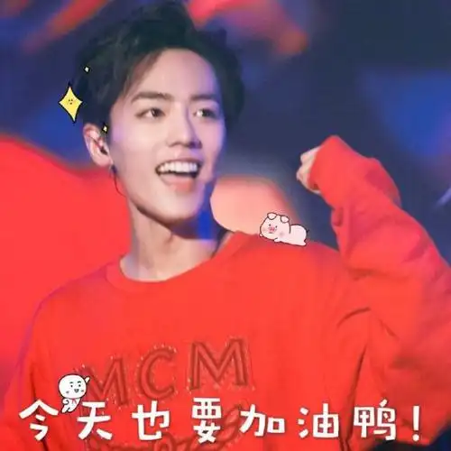 明星1(肖战)11(表情包)-啵叽小铺:壁纸哟-话本小说网