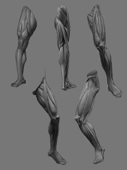 马走这组肌肉练习素材!twi:kkoo… - 半次元 - acg爱好者社区