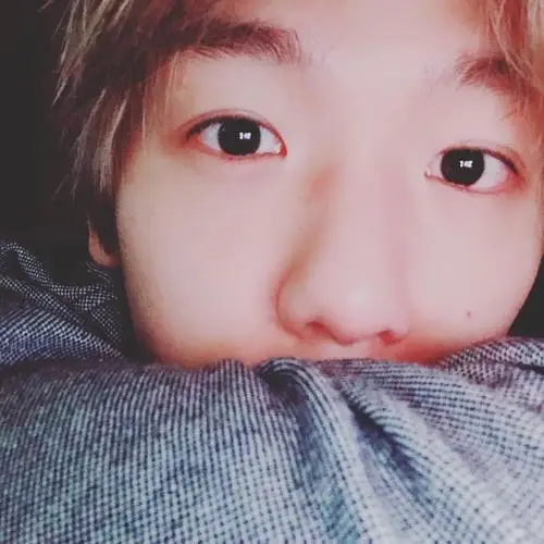 边伯贤自拍照系列不用注明,改了收藏专辑