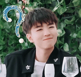 王俊凯疑惑斗图表情包-表情nmaskg-爱斗图