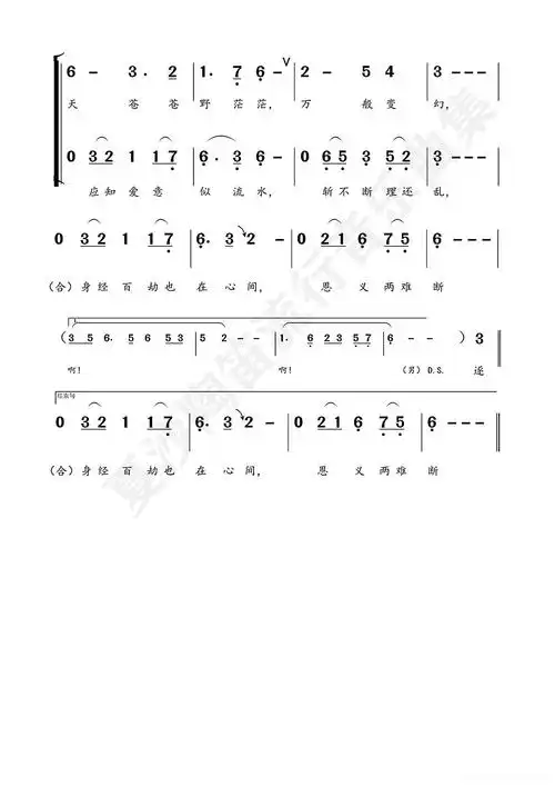 铁血丹心简谱歌词