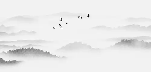 中国风水墨黑白山水画