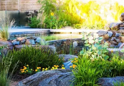 这样的雨水花园看得我小鹿乱撞