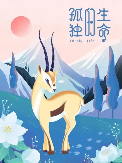 毕业海报藏羚羊