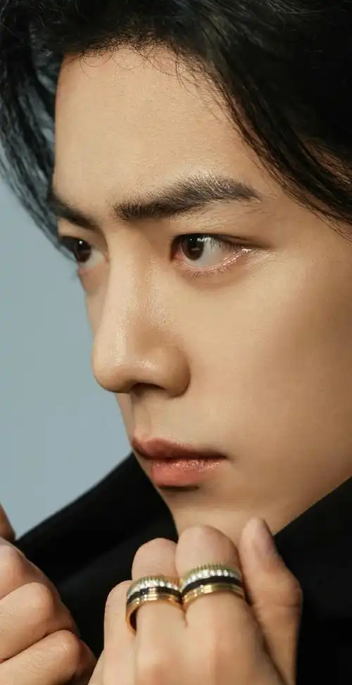 肖战长发侧颜库存