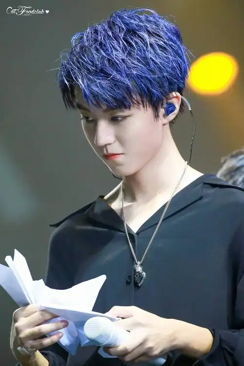 求这张王俊凯四周年蓝发超清图片,哪位好心的小螃蟹能帮帮我