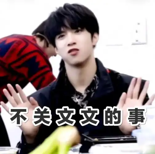 文文表情包(图源微博@刘耀文表情包)侵权删