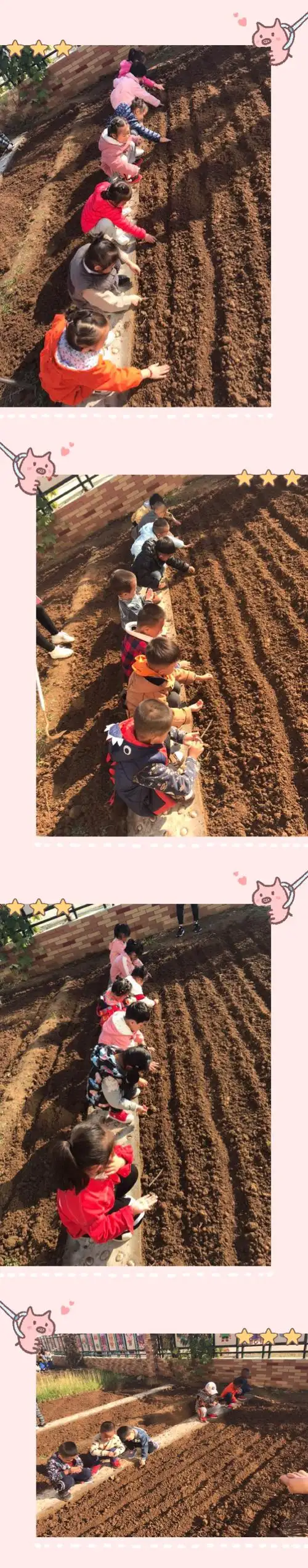 首先我们种植的是白菜,老师讲解了种植方法,把种子分给孩子们,他们伸