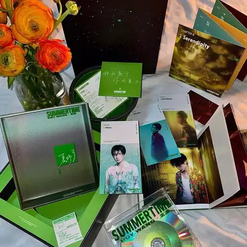 08王源专辑夏野了08