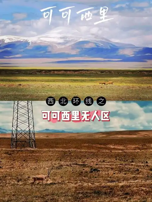 西北环线day6总要去一次可可西里无人区75
