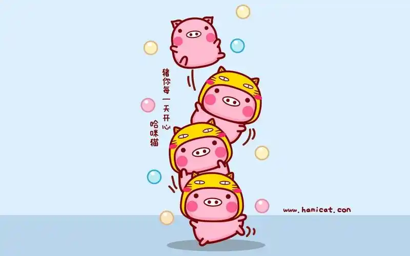 哈咪猫猪你快乐,高清壁纸图片,卡通明星-回车桌面
