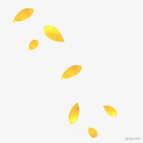 金色花瓣装饰png素材透明免抠图片-装饰效果