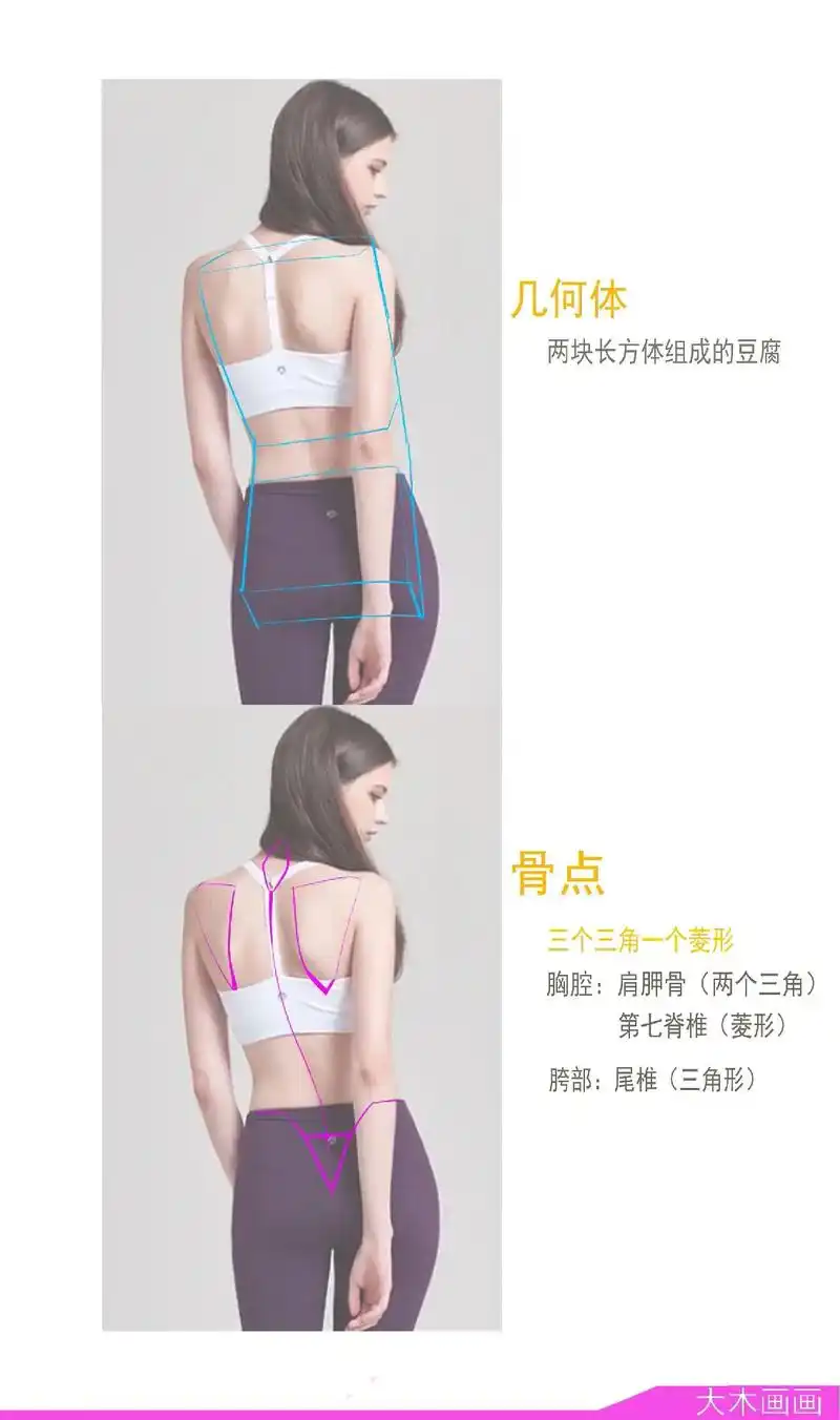 女性背部肌肉画法～#人体动态 #大木画人体36技 #速写 # - 抖音