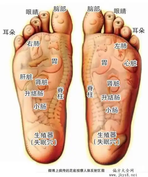 以后身体哪里不舒服,就照着这图按按脚底板(图) 打印页面