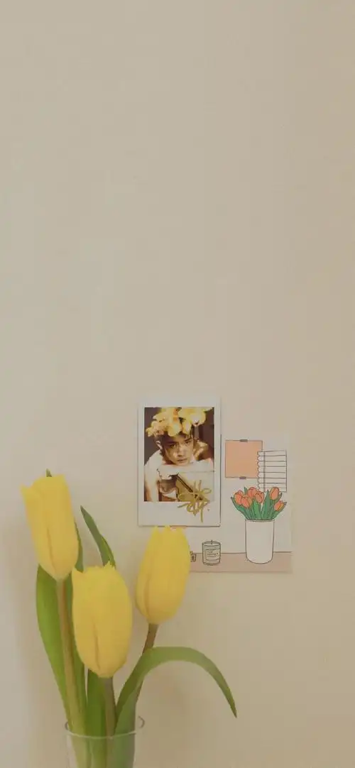 生活明朗 - 堆糖,美图壁纸兴趣社区