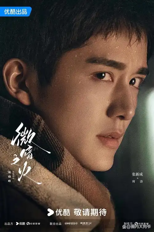 张新成|喜欢逻辑,锚定感受