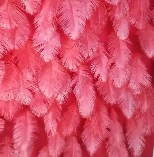 25-30cm粉色鸵鸟毛 网红拍照羽毛背景墙 婚庆装饰 抖音羽毛墙材料