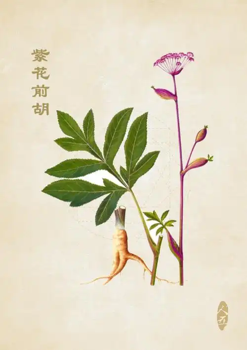 《本草纲目》草部 叁