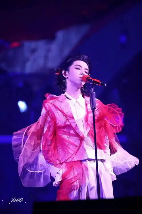 华晨宇火星演唱会锦鲤西装look 轻盈的像一尾绝美的鱼……_yu_look