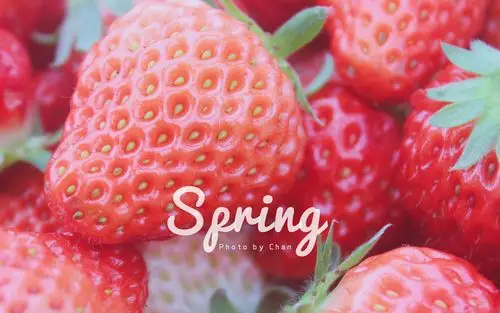 实拍小清新草莓日系摄影图片电脑壁纸
