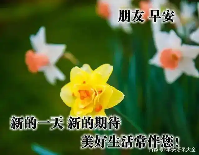 2021年5月20日早上好问候祝福图片 最新早安祝福图片带字温馨